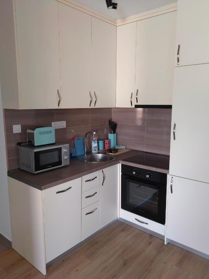 Stan Na Dan Niksic Apartment Екстериор снимка